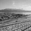 Fin de journée dans le Lavaux - 015